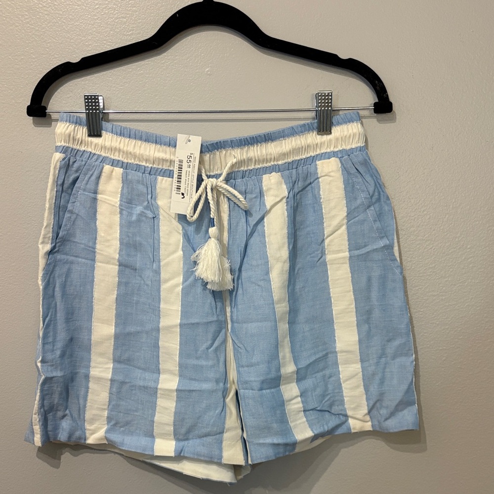 Skies Are Blue Light Blue and White Striped Women Shorts